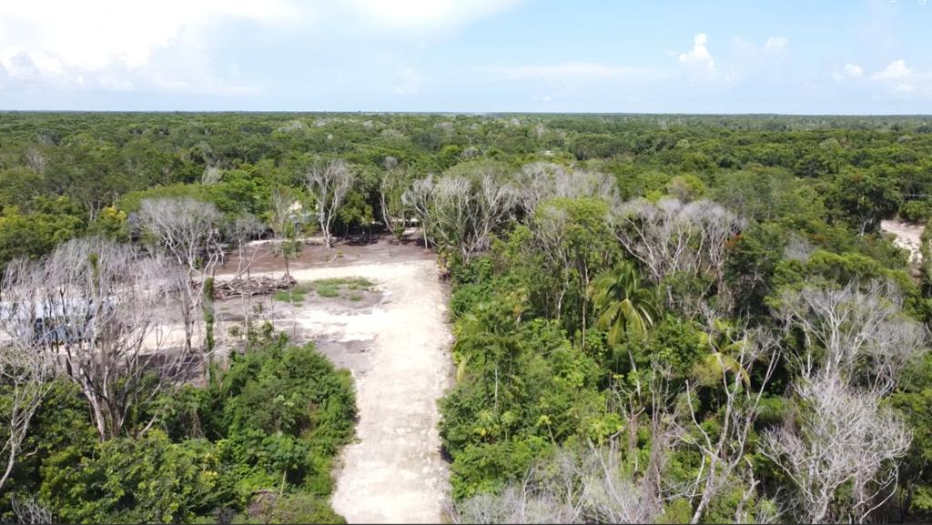 listing image with ID 69758