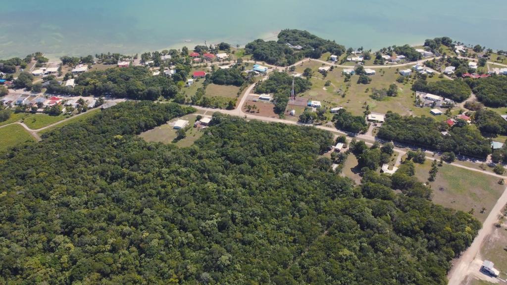 listing image with ID 70387