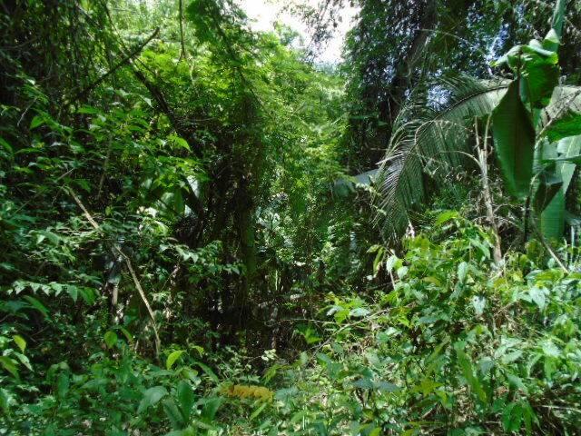 listing image with ID 70096