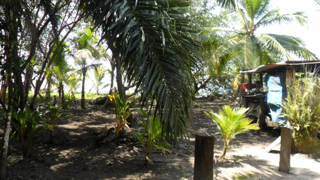 listing image with ID 70066