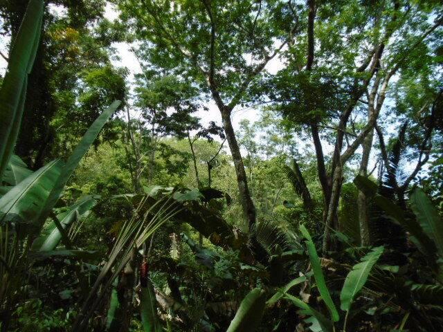 listing image with ID 70100