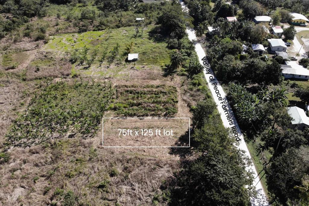 listing image with ID 70953