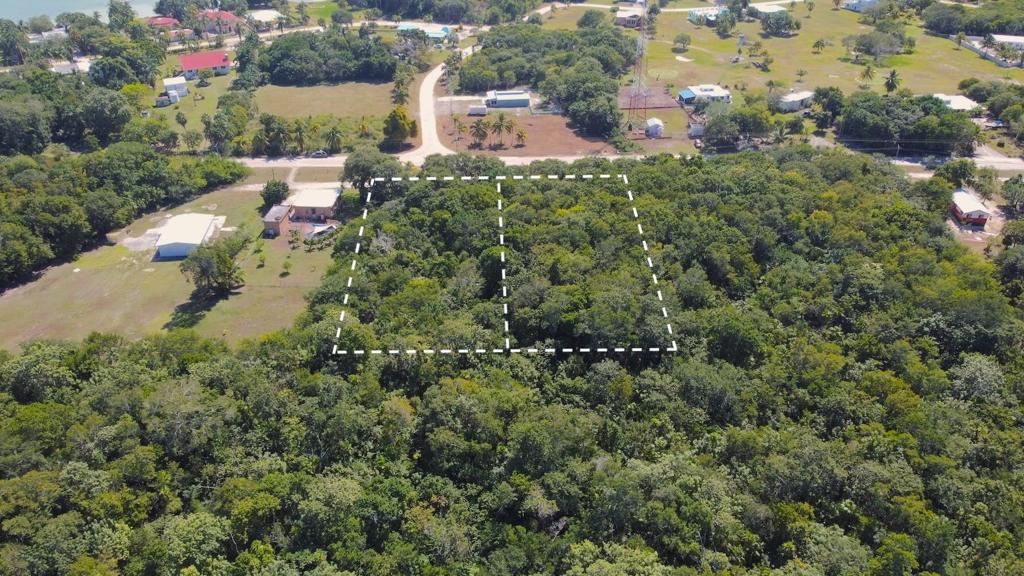 listing image with ID 70381