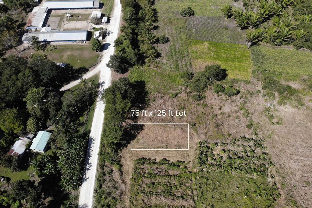 listing image with ID 70951