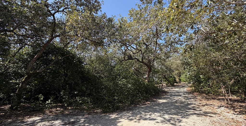 listing image with ID 70933