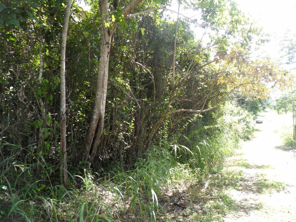 listing image with ID 70127