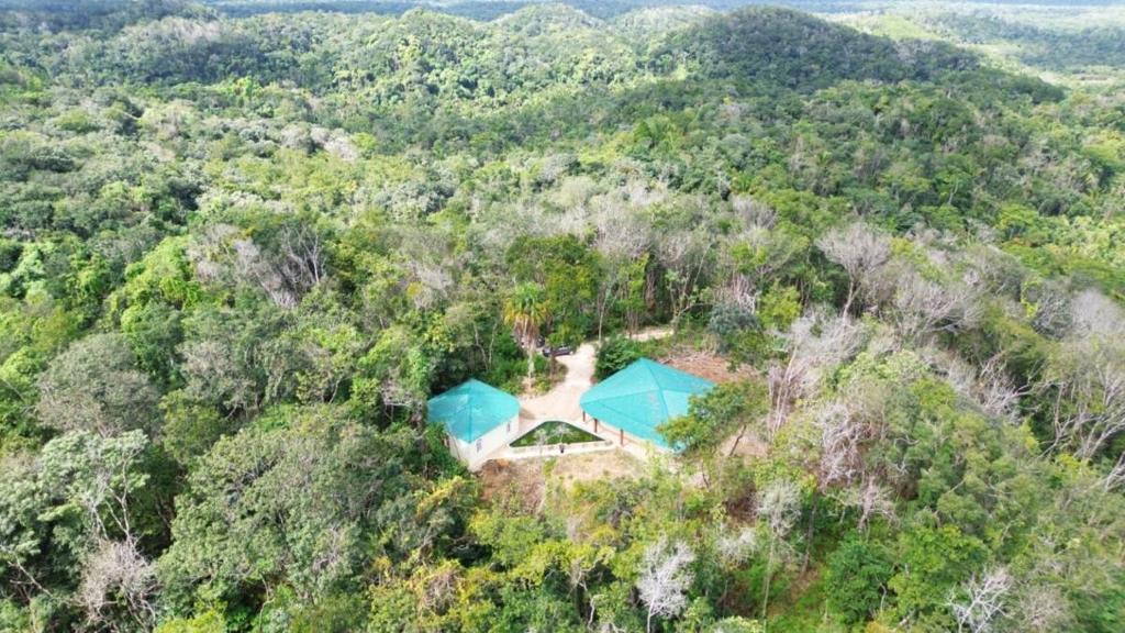 listing image with ID 69882