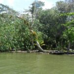 listing image thumbnail with ID 70082