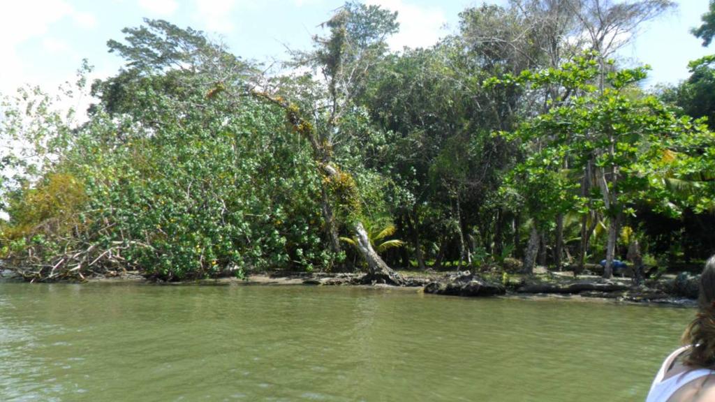 listing image with ID 70082