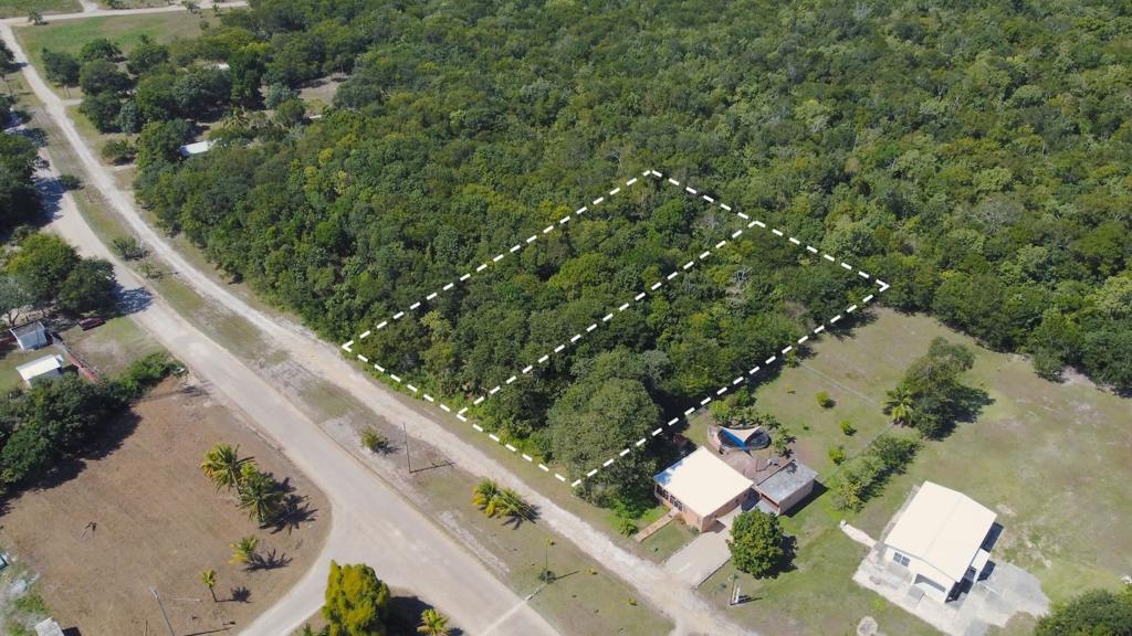 listing image with ID 70378