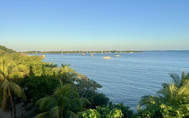 listing image with ID 69578