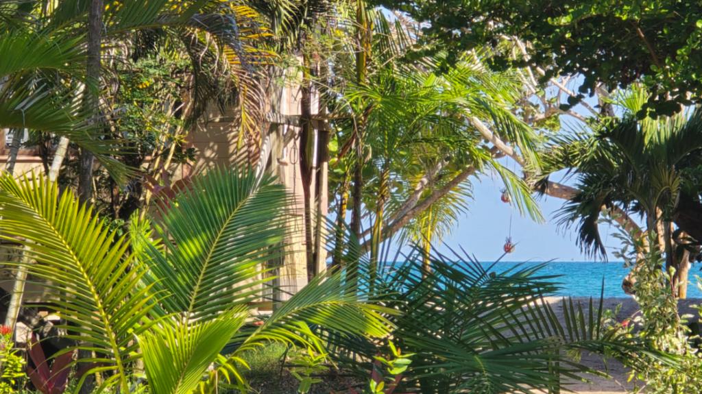 listing image with ID 69786