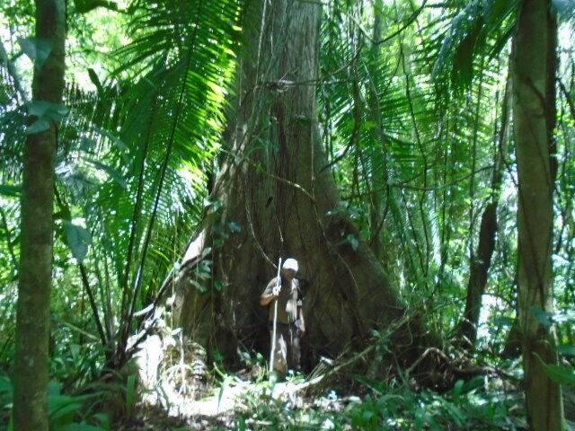 listing image with ID 70107