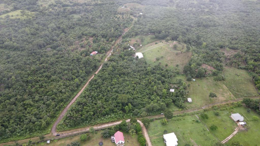 listing image with ID 69711