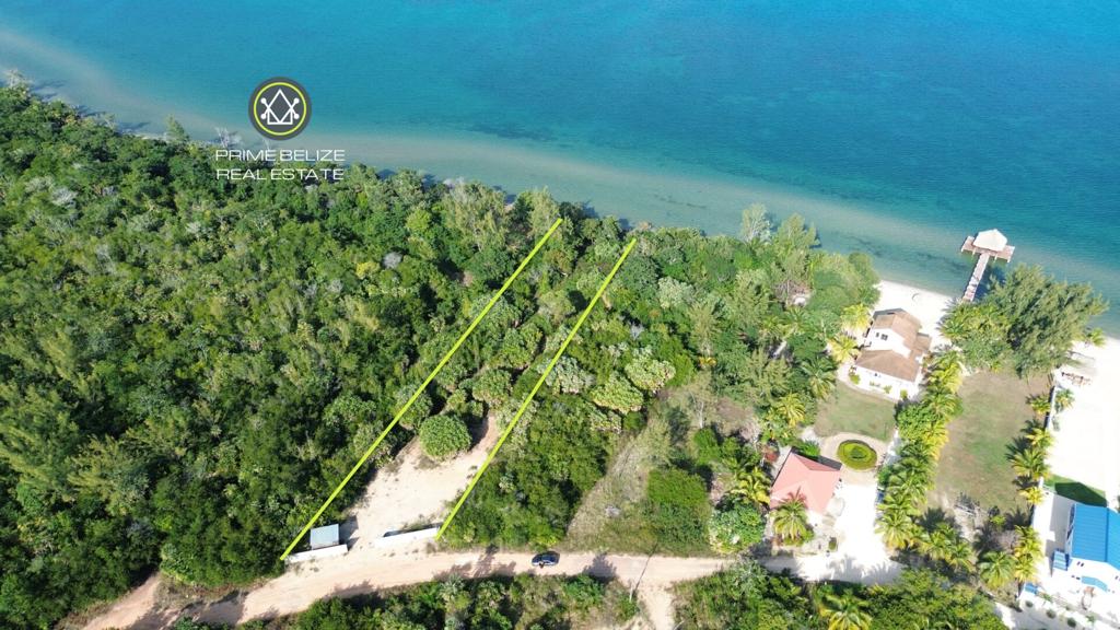 listing image with ID 70964