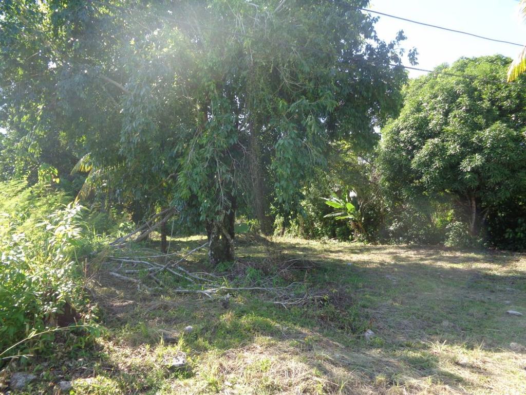 listing image with ID 70199