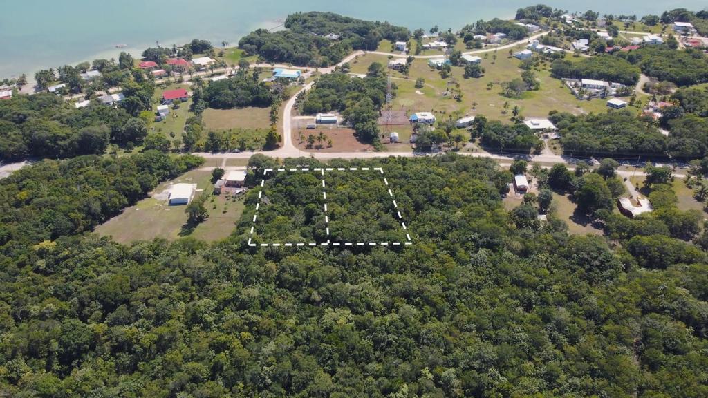 listing image with ID 70376