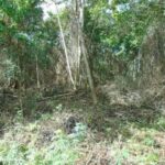 listing image thumbnail with ID 70151