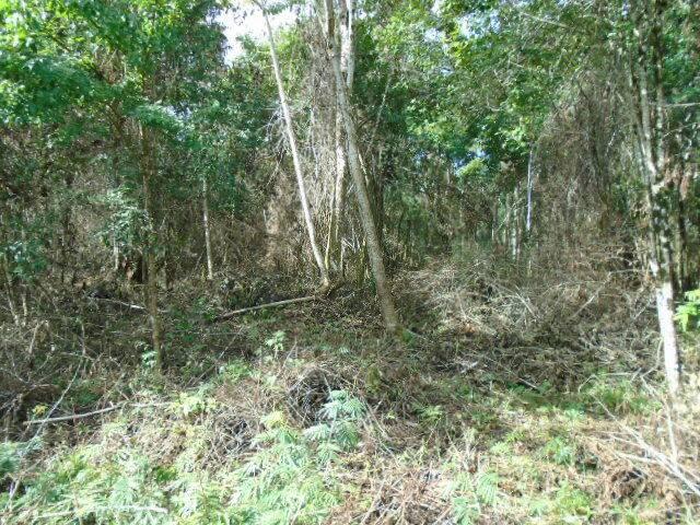 listing image with ID 70151