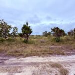 listing image thumbnail with ID 70925