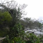 listing image thumbnail with ID 70060