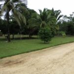 listing image thumbnail with ID 70327