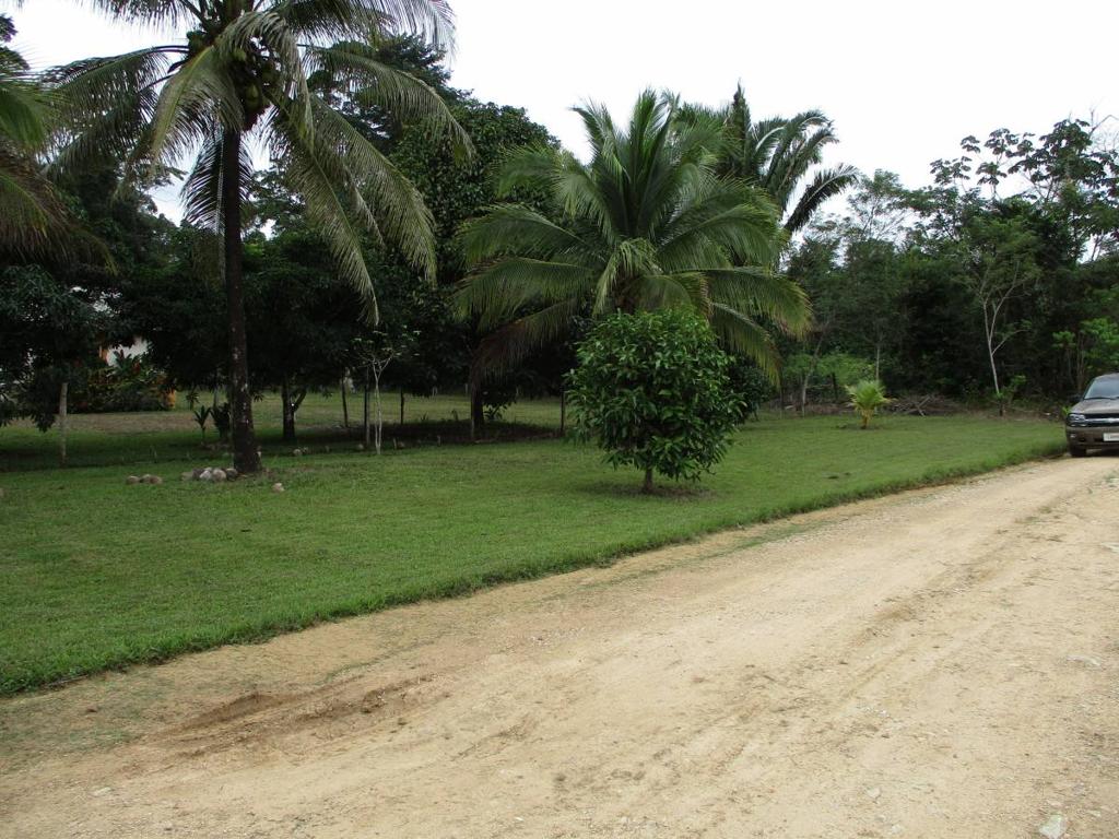 listing image with ID 70327