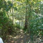 listing image thumbnail with ID 70162