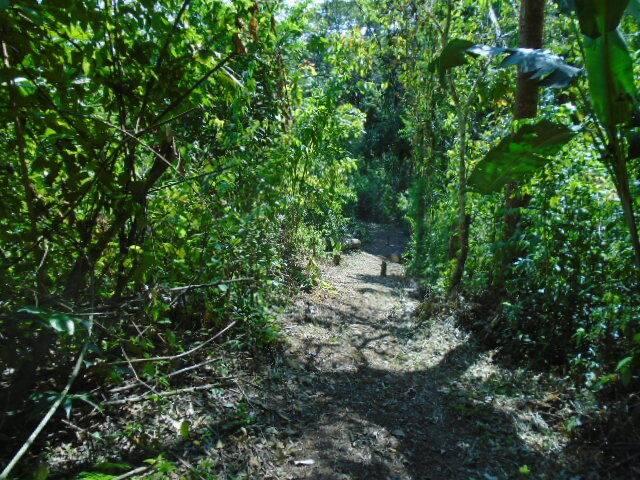 listing image with ID 70164