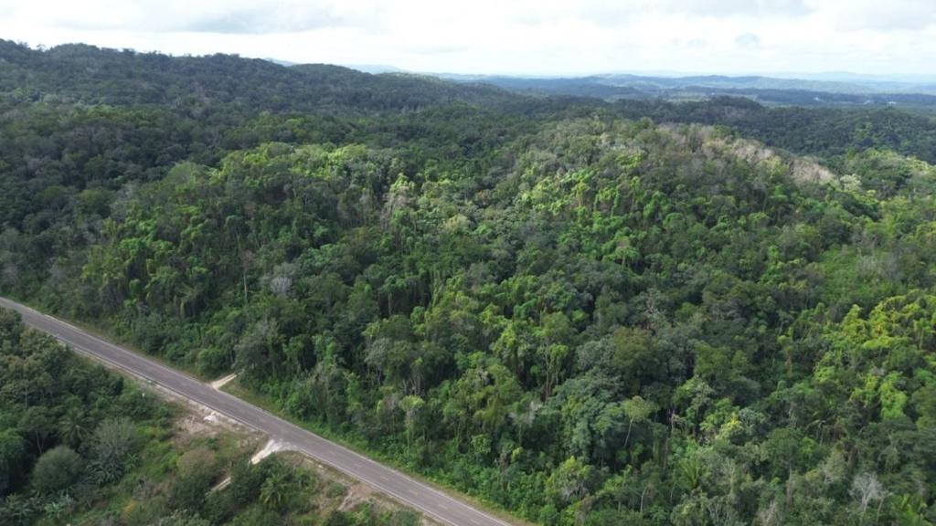 listing image with ID 69904