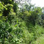 listing image thumbnail with ID 70129