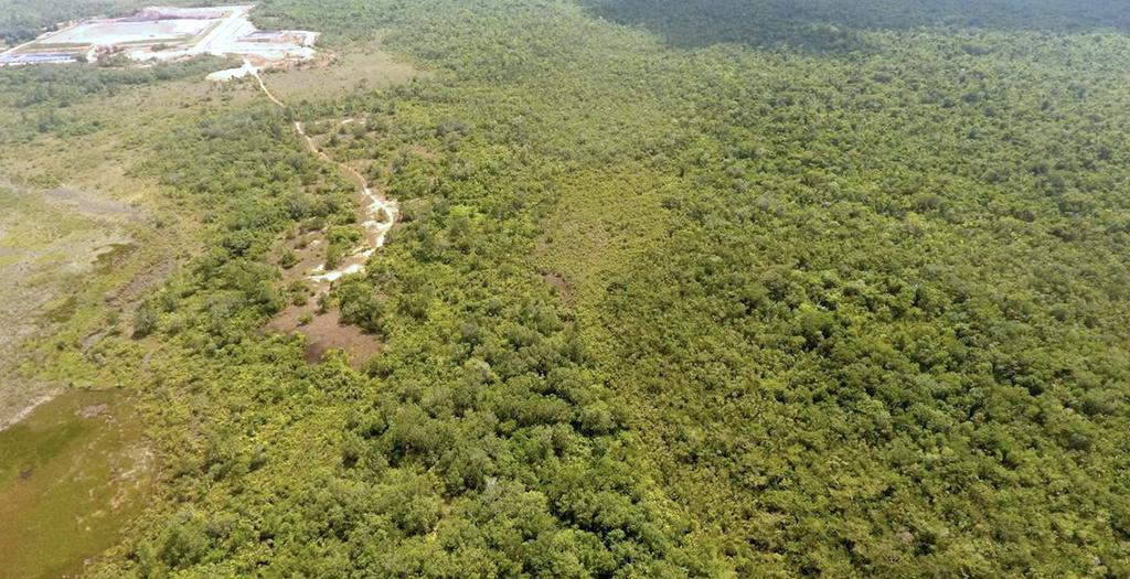 listing image with ID 69875