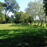 listing image thumbnail with ID 70305