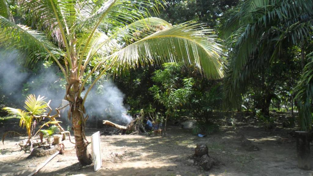 listing image with ID 70051