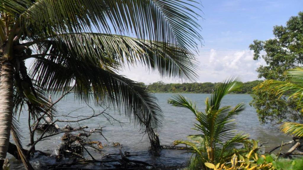 listing image with ID 70073