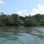 listing image thumbnail with ID 70068