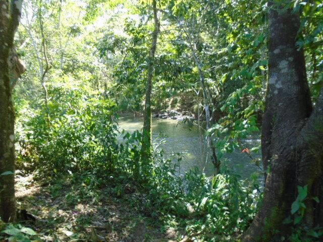 listing image with ID 70155