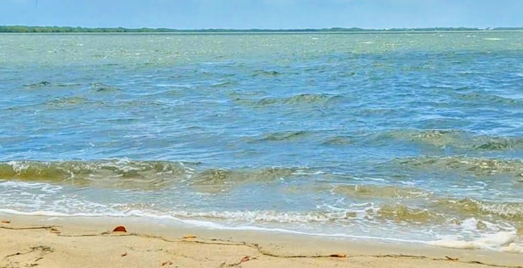 listing image with ID 69510