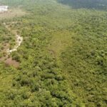 listing image thumbnail with ID 69876