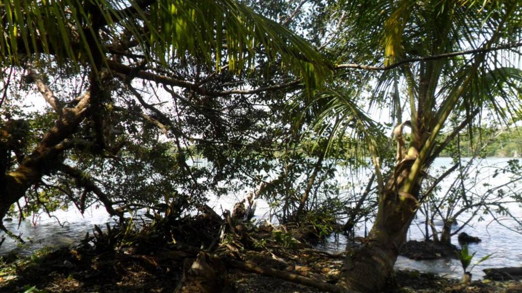 listing image with ID 70070