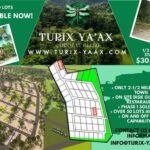 listing image thumbnail with ID 69771