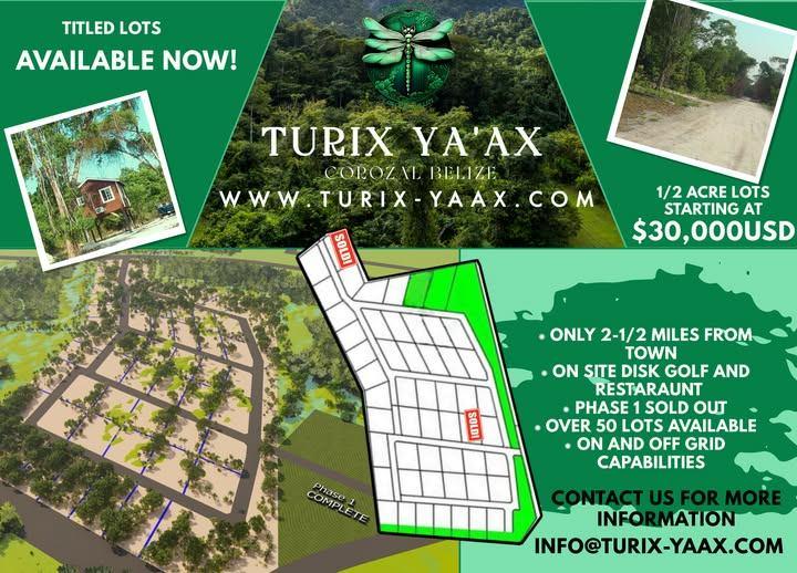 listing image with ID 69771