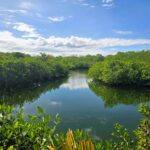 listing image thumbnail with ID 69835