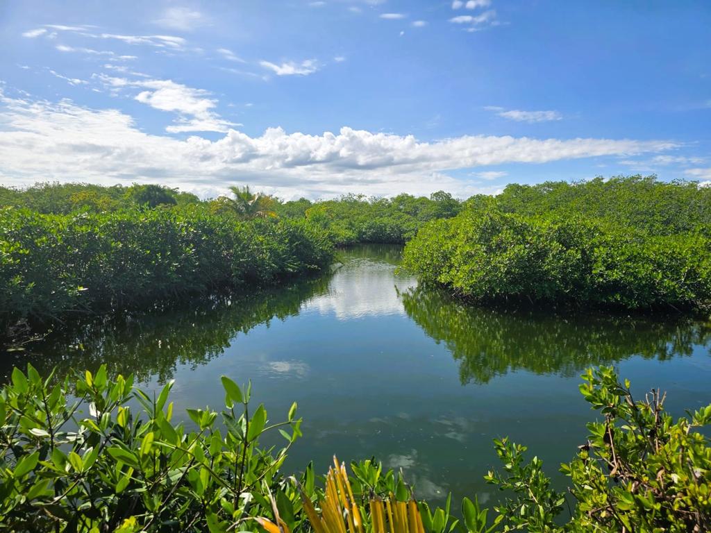 listing image with ID 69835