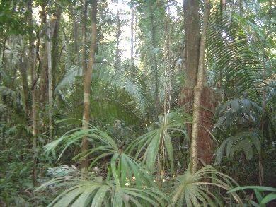 listing image with ID 70213