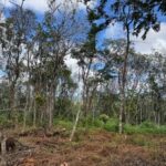 listing image thumbnail with ID 69909