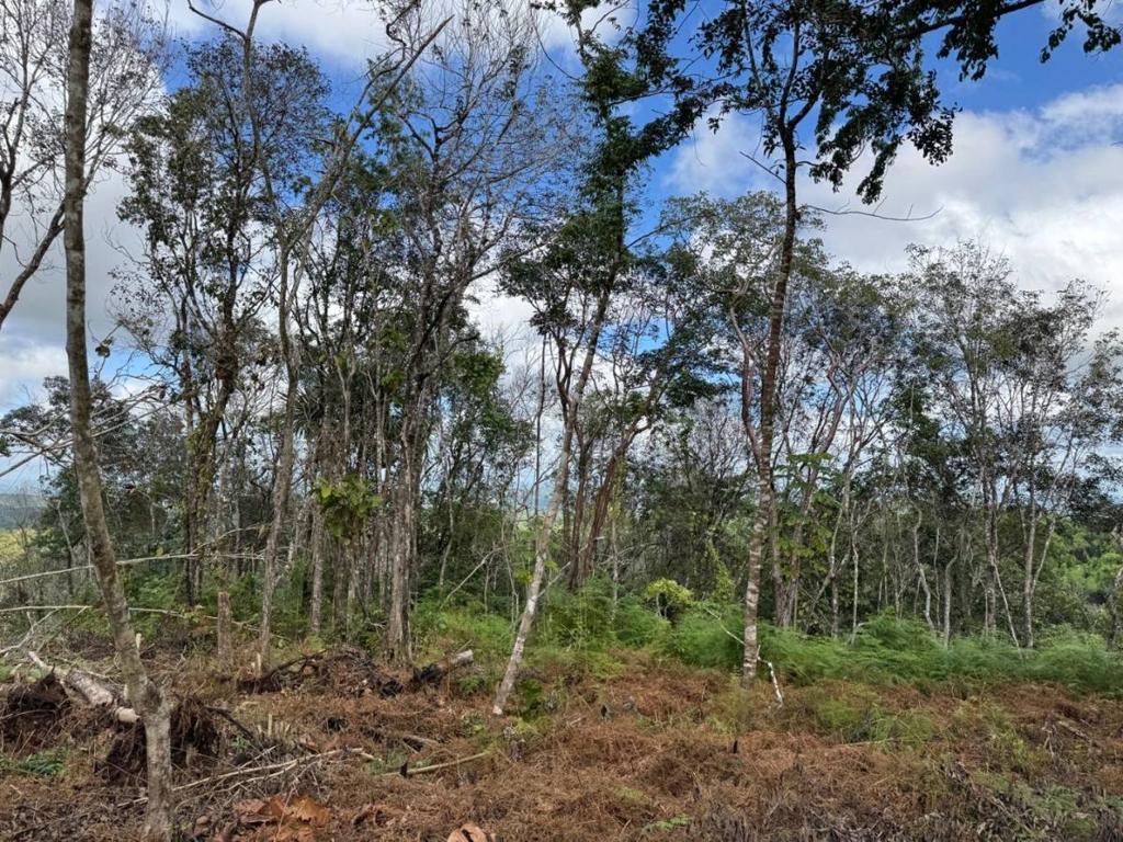 listing image with ID 69909