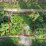 listing image thumbnail with ID 70785