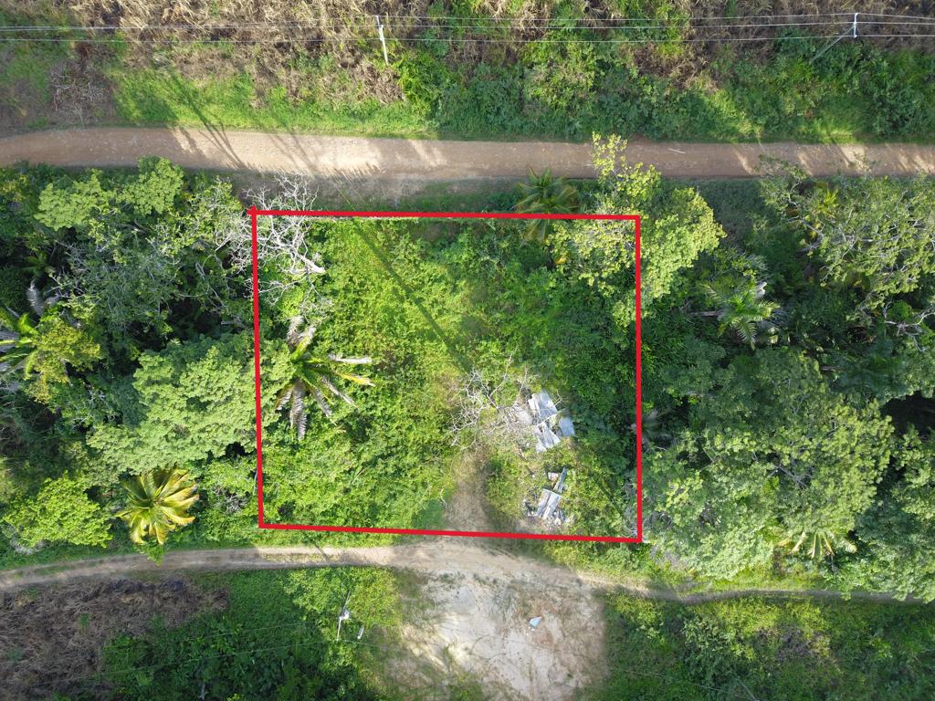 listing image with ID 70785