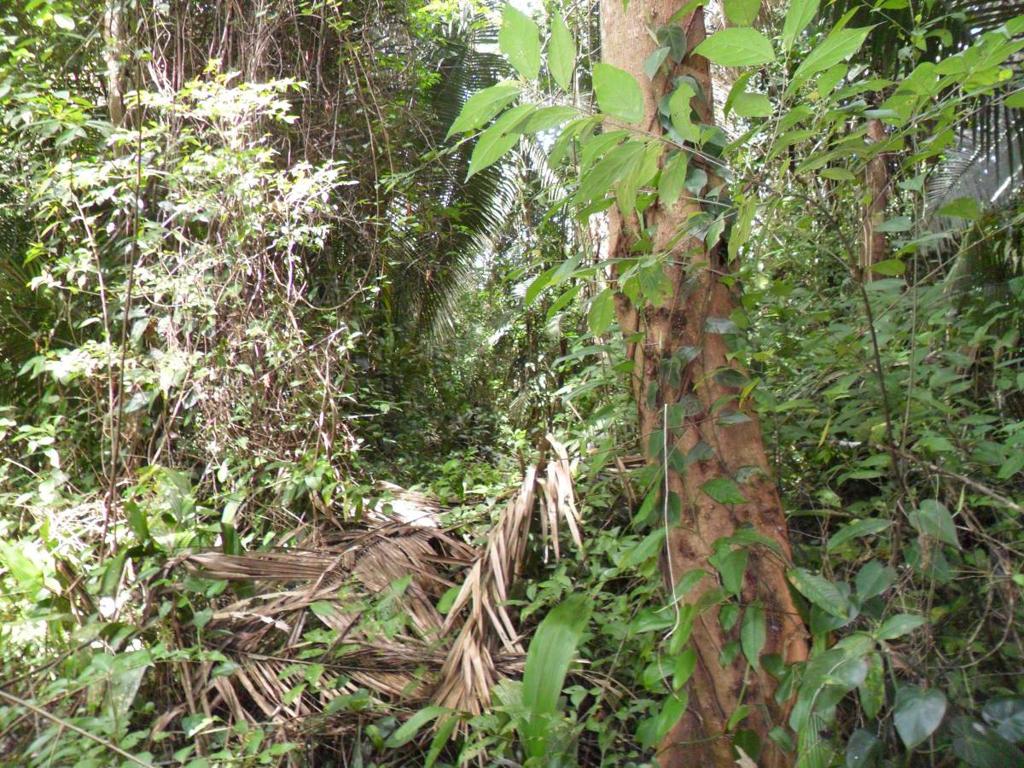 listing image with ID 70132